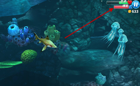 ����������а������ư�