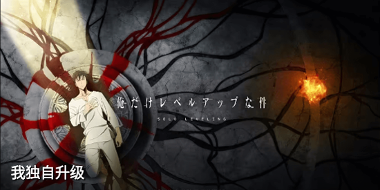 ������Ƶ���ذ�װ