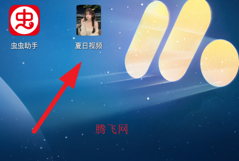 ������Ƶ��װ��