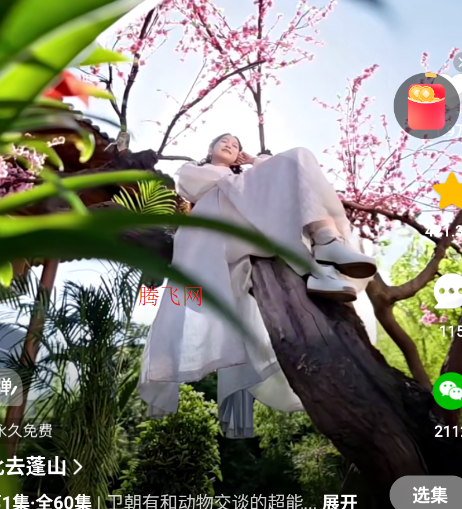 �����̾���ѹۿ�ƽ̨app