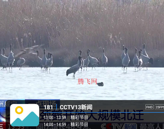 �������콢TVapp���Ӱ�(�¿������콢TV)