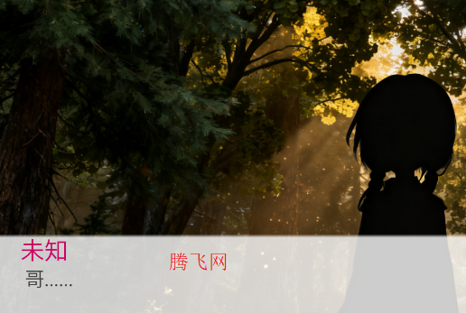 ��������Ϸ�ֻ���