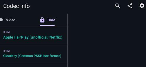 Codec Info�������°�