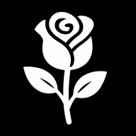 lizlis ai����v1.7.1 �ֻ���