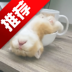 ��ƿ��Ƶapp�ٷ���v1.1.3 ���°�