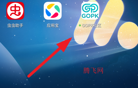 GOPK�������app�ֻ���