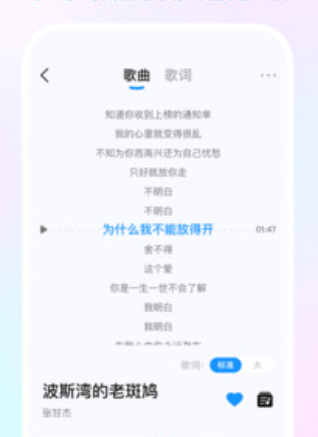 ����������Ѱ�app�ֻ���