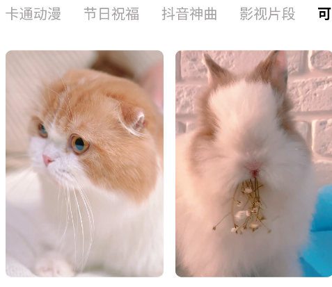 Quin��ֽapp�ֻ���