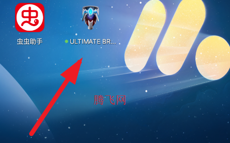 ��������ģ����������ְ�ULTIMATE BRACELET