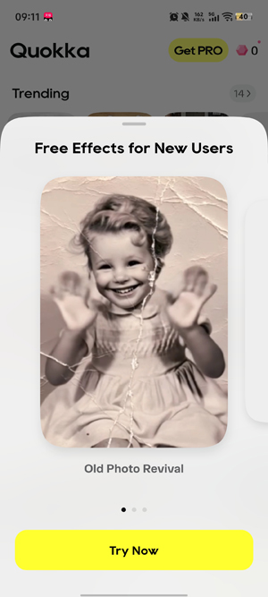 Quokka�������°�