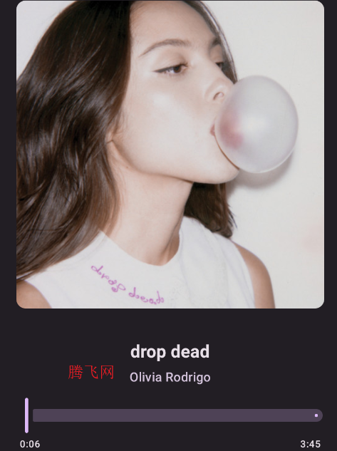 ��������Pro�������app