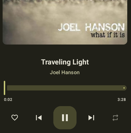 ��������Pro�������app