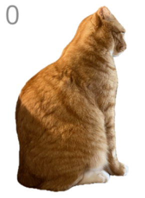 ��è��ë��Ϸ�ֻ���