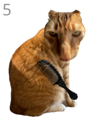 ��è��ë��Ϸ�ֻ���