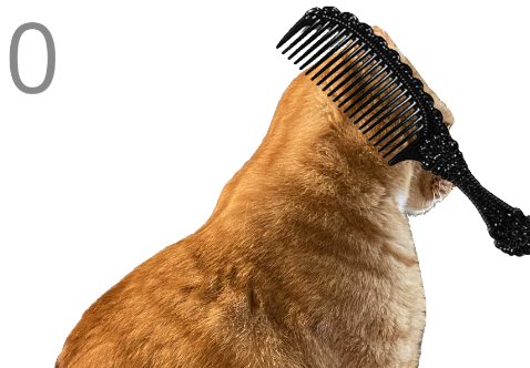 ��è��ë��Ϸ�ֻ���