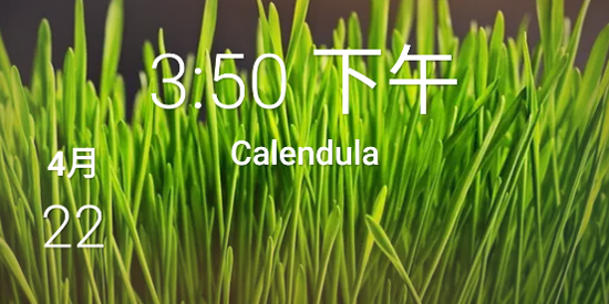 Calendula���°汾