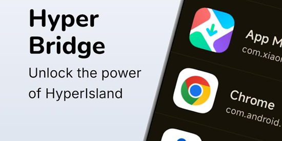 HyperBridge�ٷ���