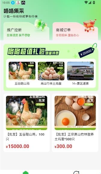 咯咯集采2026最新版 咯咯集采2026最新版