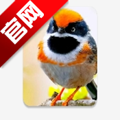 С��Ϻֱ��TV���Ӱ�appv1.3.3 �ٷ�����