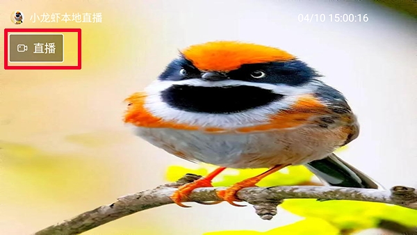 С��Ϻֱ��(С��Ϻֱ������)