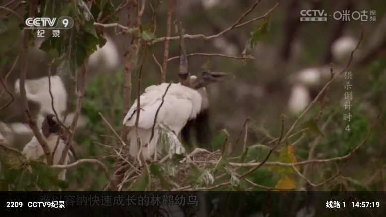 �䳲ֱ��tv�����°汾v7.5.7 ����