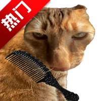 ��è��ë��Ϸ�ֻ���v1.0 ���°�