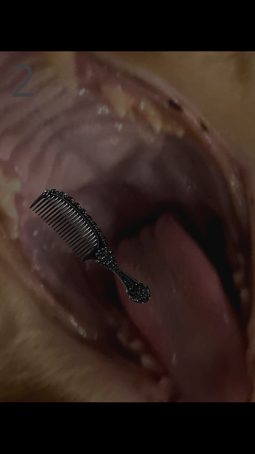 ��è��ë��Ϸ�ֻ���v1.0 ���°�