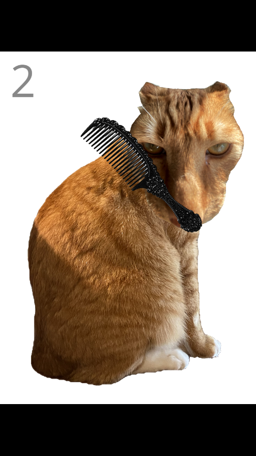 ��è��ë��Ϸ�ֻ���v1.0 ���°�