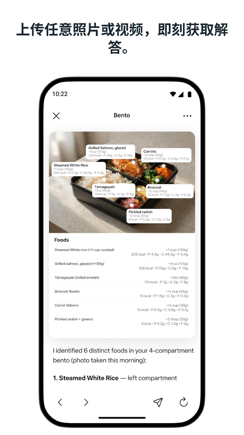 Meta AIApp����v270.0.0.26.163 �ֻ���