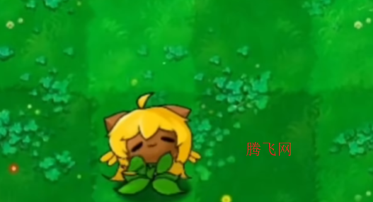 ֲ���ս��ʬ�����װ����A�ιٷ���