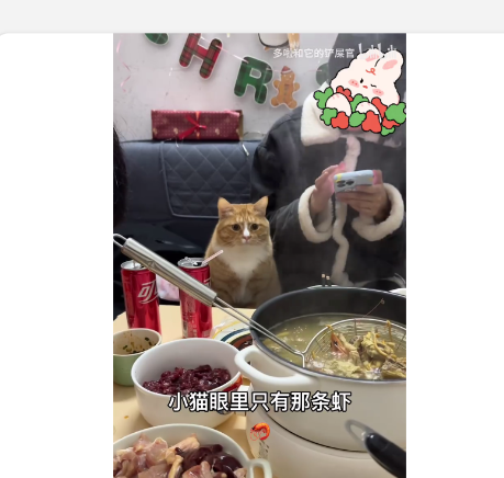 ����������app�ֻ���