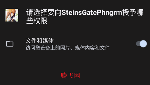 ����ʯ֮�����ξ����ı���ͼ��׿������SteinsGatePhngrm