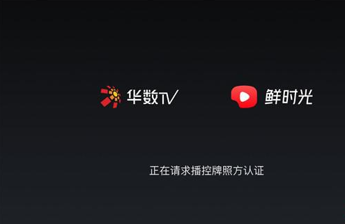 大西瓜TV电视版APK 大西瓜TV电视版APK