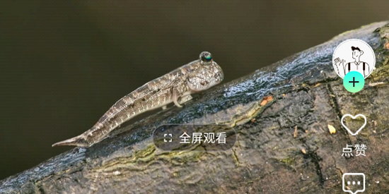 巨每短视频app官方版 巨每短视频app官方版