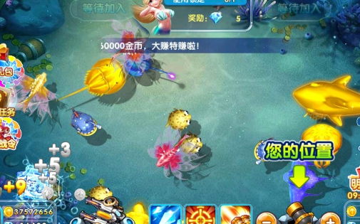 981��󸲶��ٷ����°汾����