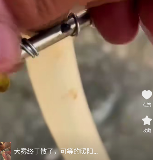 �����̾�app�ֻ���