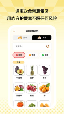 ��ϫȤʱapp���°�v1.0.1 ��׿��