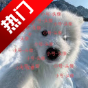 С������app�ֻ���v2.9.66 ���°�