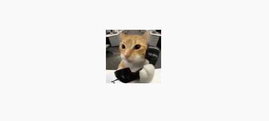 橘猫三角洲自动跑刀app最新版 橘猫三角洲自动跑刀app最新版