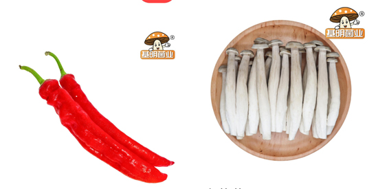 ������ҵapp�ٷ���