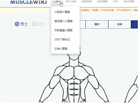 MuscleWiki��׿APP