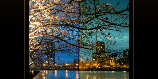 Luminar��Ƭ�༭�����°�