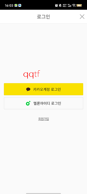 melon ticket���ʰ�(?? ??)