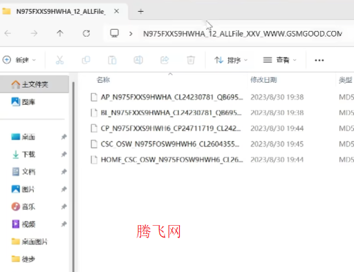 {$softname} {$softname}