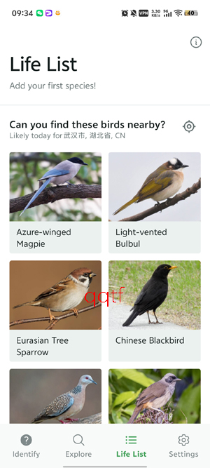 Merlin����ʶ��app�ٷ���(Merlin Bird ID)