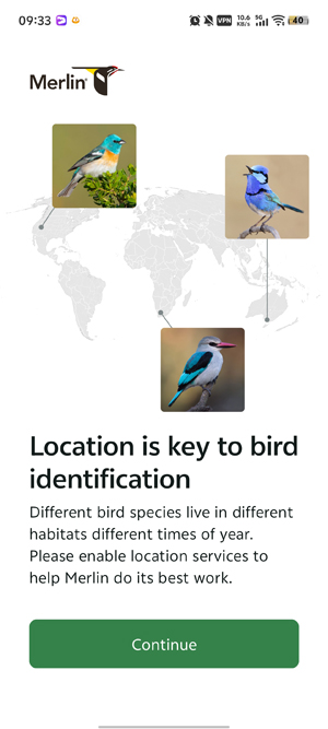 Merlin����ʶ��app�ٷ���(Merlin Bird ID)