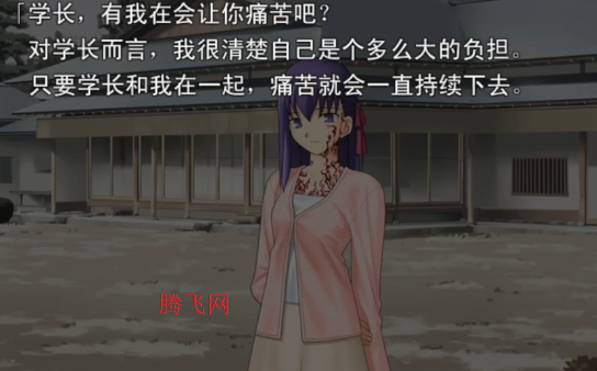 fsn��Ϸ�ֻ���(����֮ҹ)