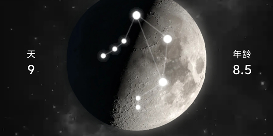MoonX��������app���°�
