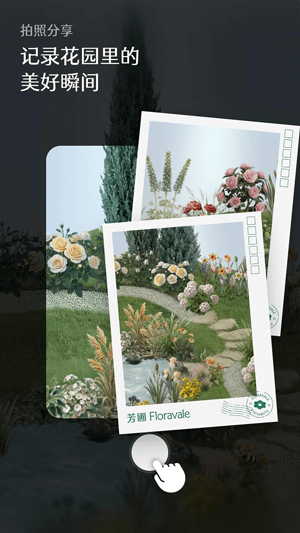 ����Floravale���°汾