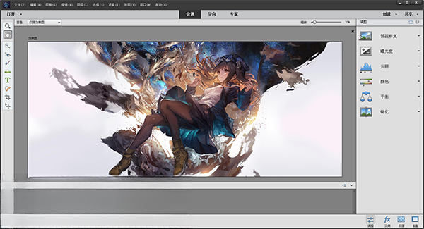 adobe photoshop elements 2020ֱװ��v18.0 �����